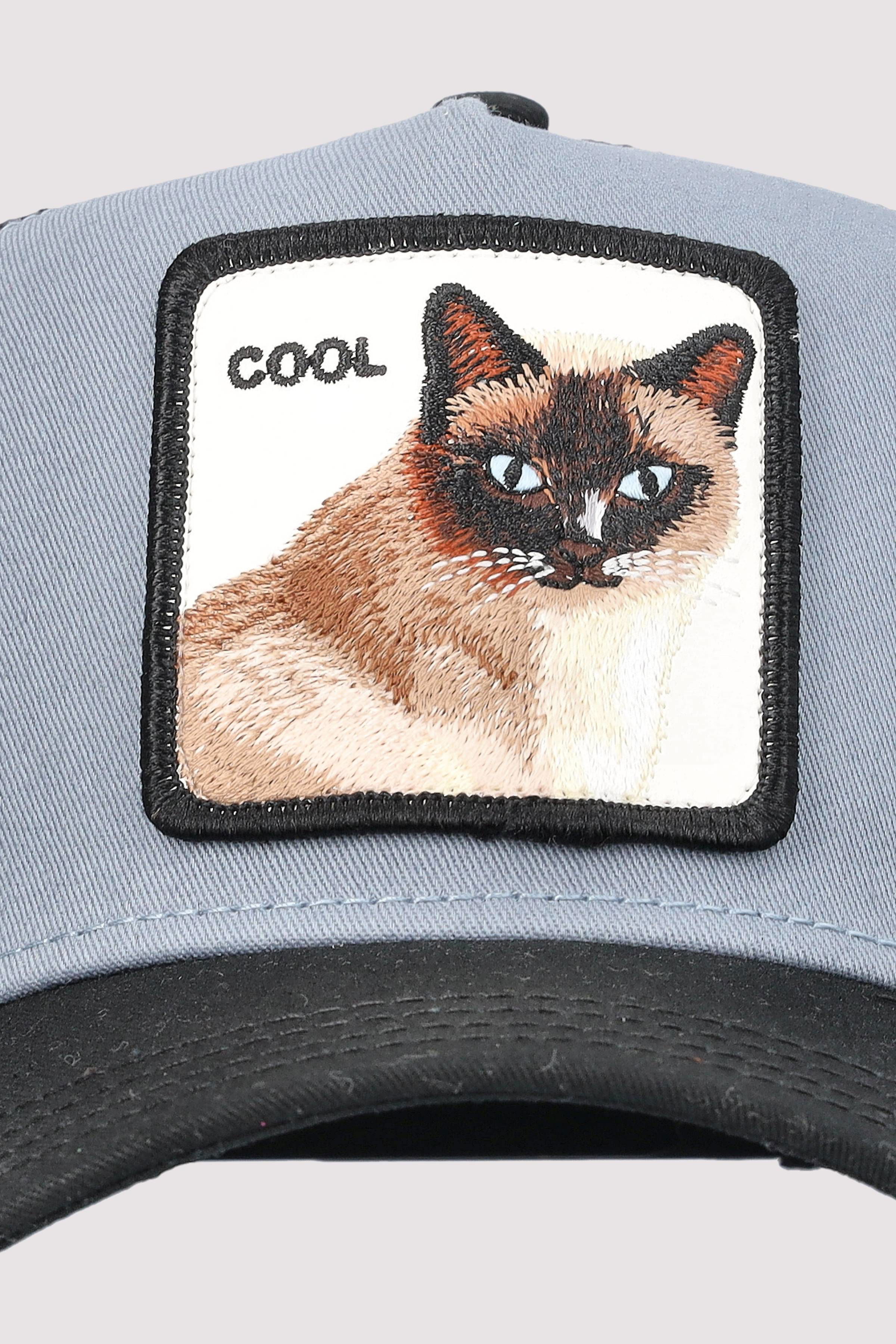 V2 Cool Cat