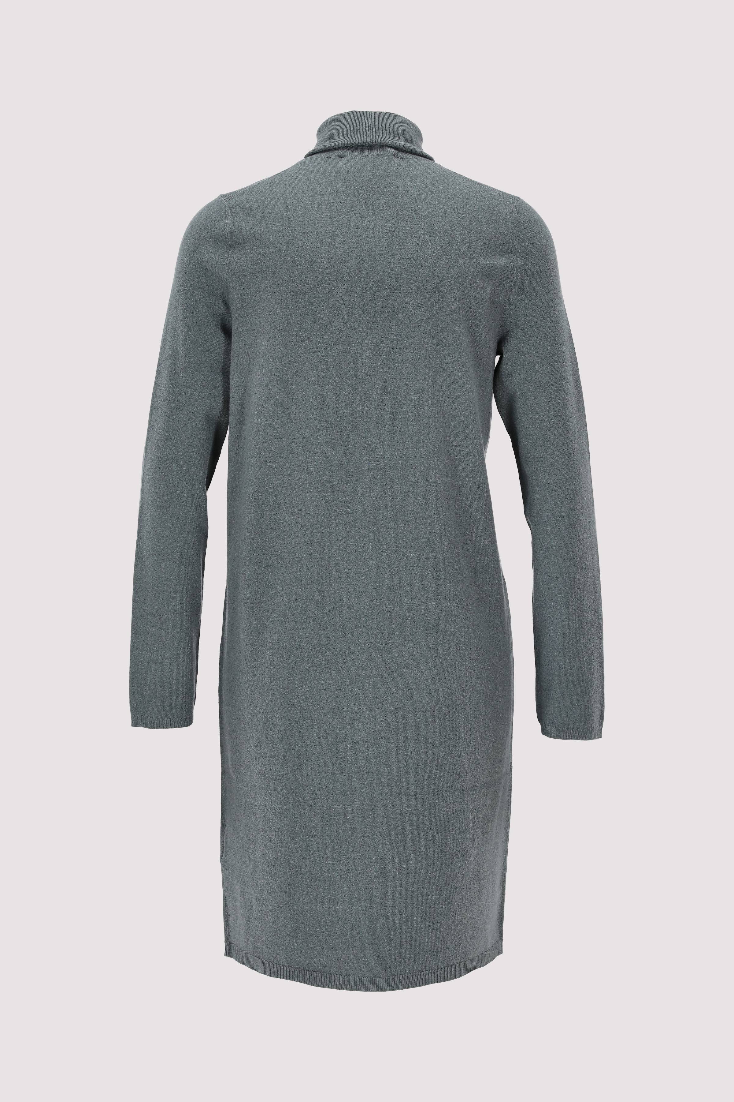 Dress, longsleeve, turtle neck